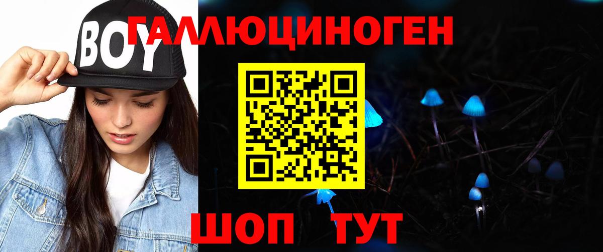 Псилоцибиновые грибы Psilocybe  где можно купить   Курчалой  Вход с VPN 
