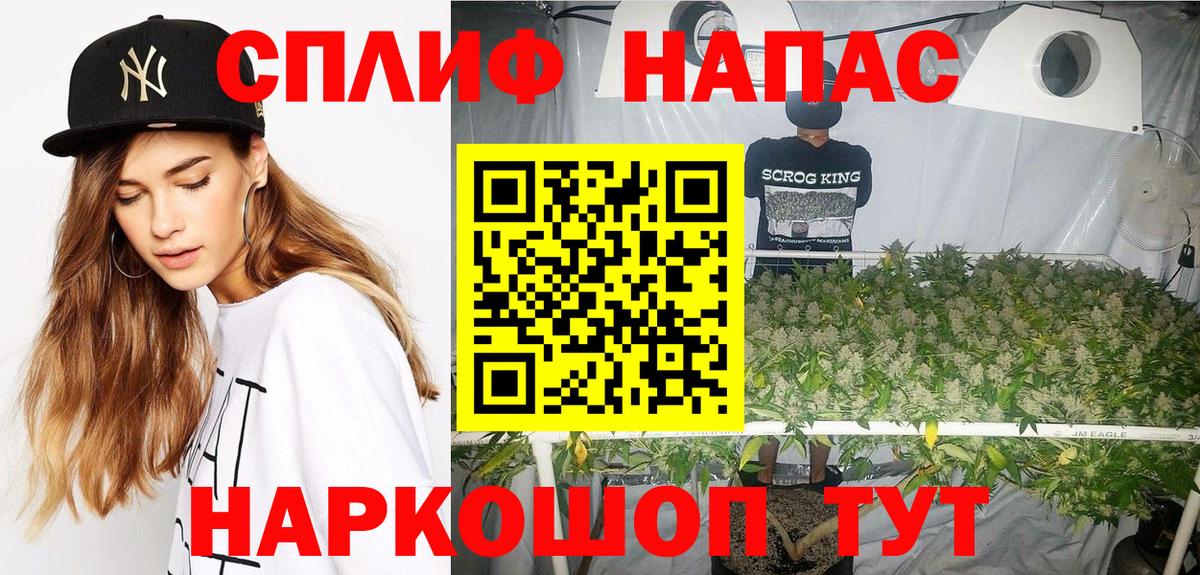 Курчалой  МАРИХУАНА Amnesia  МАРИХУАНА тримм  Вход с VPN 